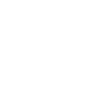 Yes Silicon Inside