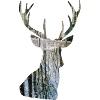 deer forest silhouette