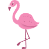 flamingo