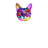 Rainbow cat