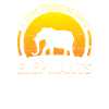 éléphants