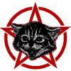 Metal Music Cat