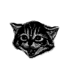 Metal Music Cat