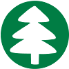 fir - christmas tree - around