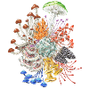 Make advices! / Mushrooms / fungi