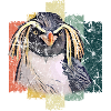 Penguin bird gift idea