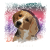 Beagle Hund