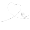 Bird Budgerigar Parrot Heart