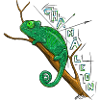 Chameleon
