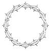 crown of thorns