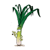 Smoking leek