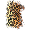 Leopard fur pattern