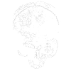 skull