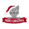 Weihnachtskatze - Geschenkidee zu Weihnachten
