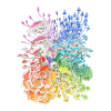 Rainbow Mushrooms / diversity
