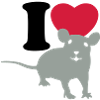 I love rats