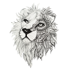 Lion dreaming
