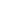 lagotto