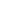 Flies