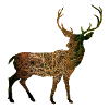Deer Autumn