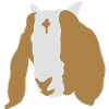 goat boer goat
