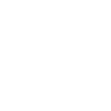 fanciful hummingbird