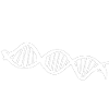 ADN