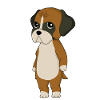German boxer