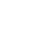 Crâne en blason