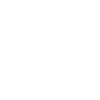 Flying Fish