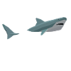 Hi fish, shark, shark
