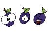 Funny plums