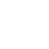 poodle