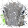 Gray animal with 4 letters