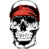 Biker Skull