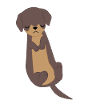 Dachshund - Dachshund - Dachshund puppy - Gift