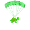 Skydiving turtle parachutist amphibians