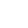 Ceo in progress