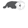 Bobtail - Schlafen - Faulenzer - Faul - Geschenk