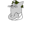 Emperor Cat