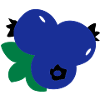 blueberries_fruits