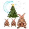 HARE , Christmas