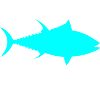 Thunfisch
