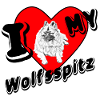 I love my Wolfsspitz