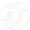 Jing and Jang Dragon