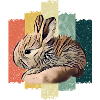 Rabbit Rabbit Gift Idea