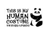 Panda Costume