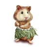 HAMSTER HULA