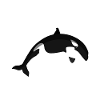 Orca