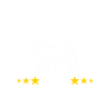Champion Service Deluxe Helper